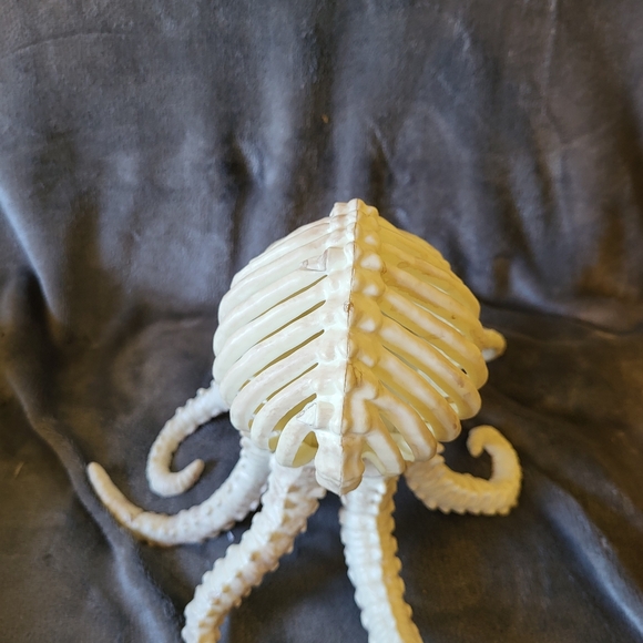 Octopus skeleton scary home prop Decor Kraken - Picture 5 of 6